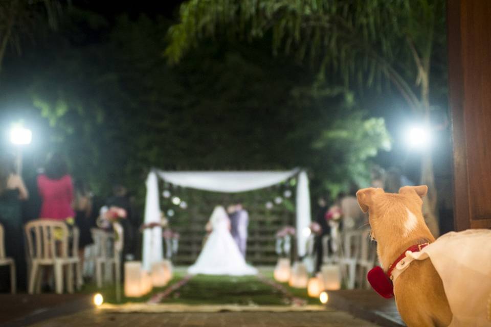 Casamento de noite