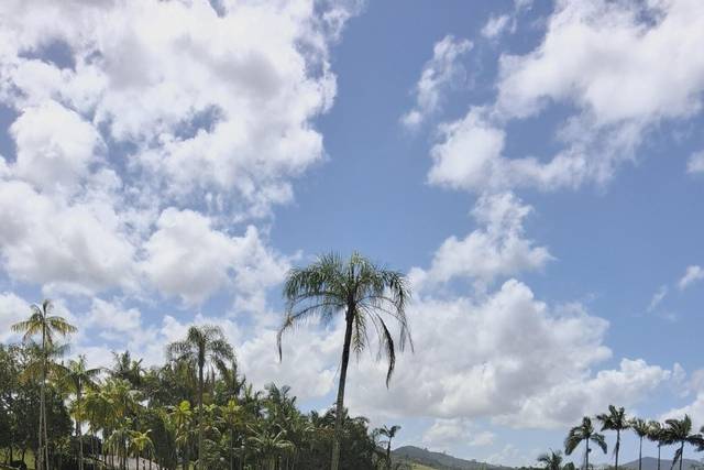 Iluminação decorativa