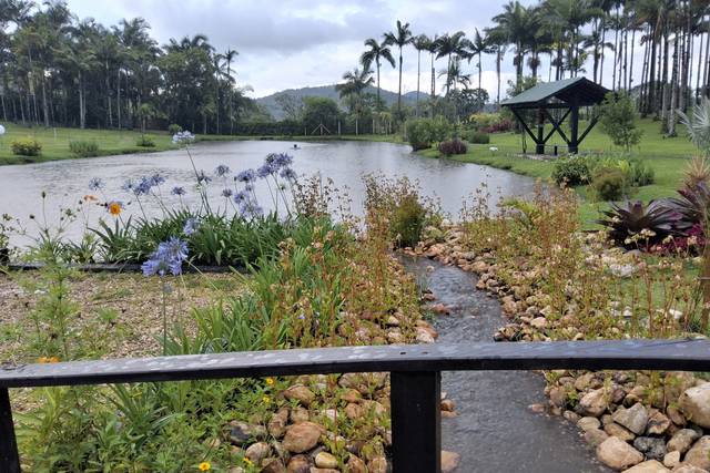 Ponte instagramável