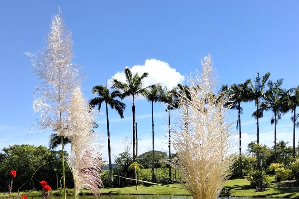 Paisagismo exuberante