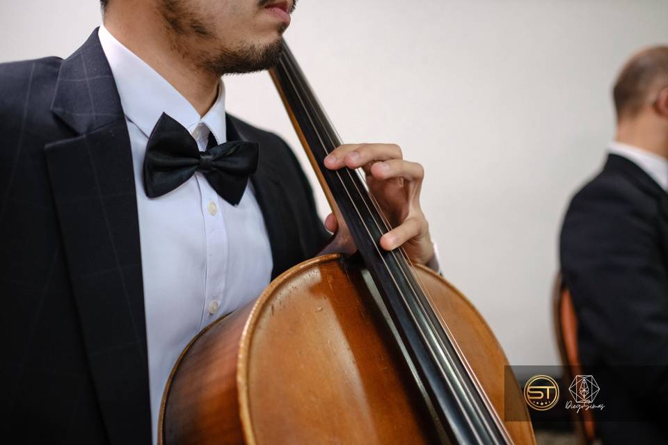 Violoncelo