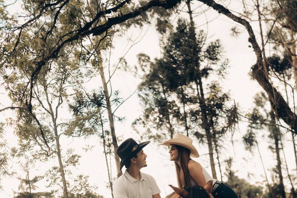 Henrique Lima Fotografia