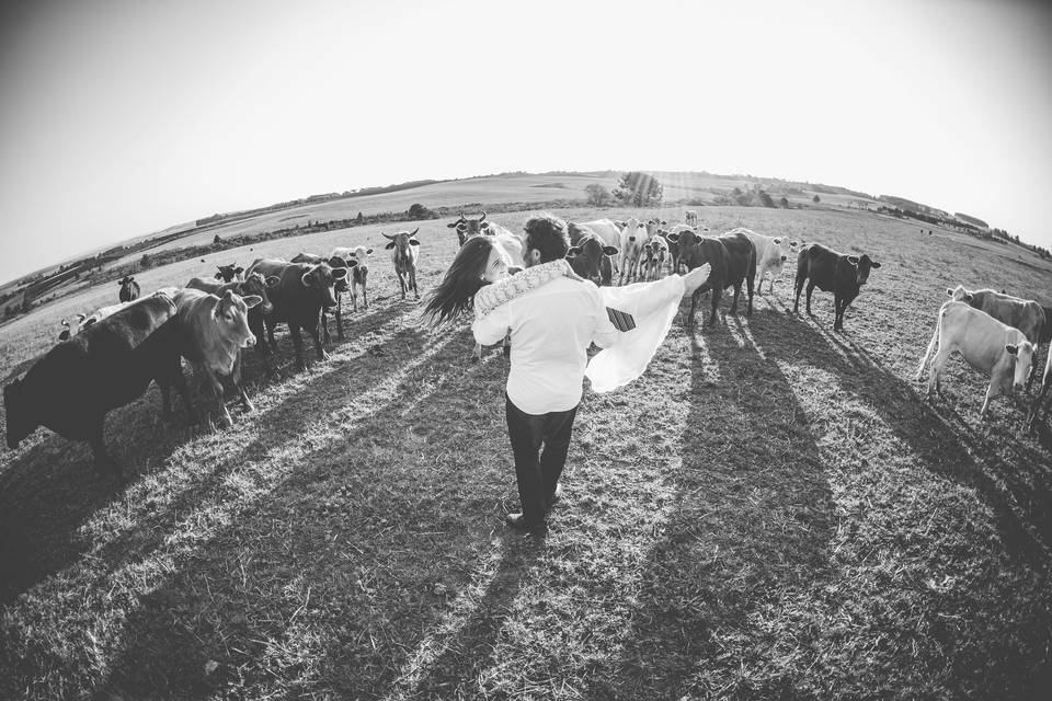 Ensaio fotográfico na fazenda