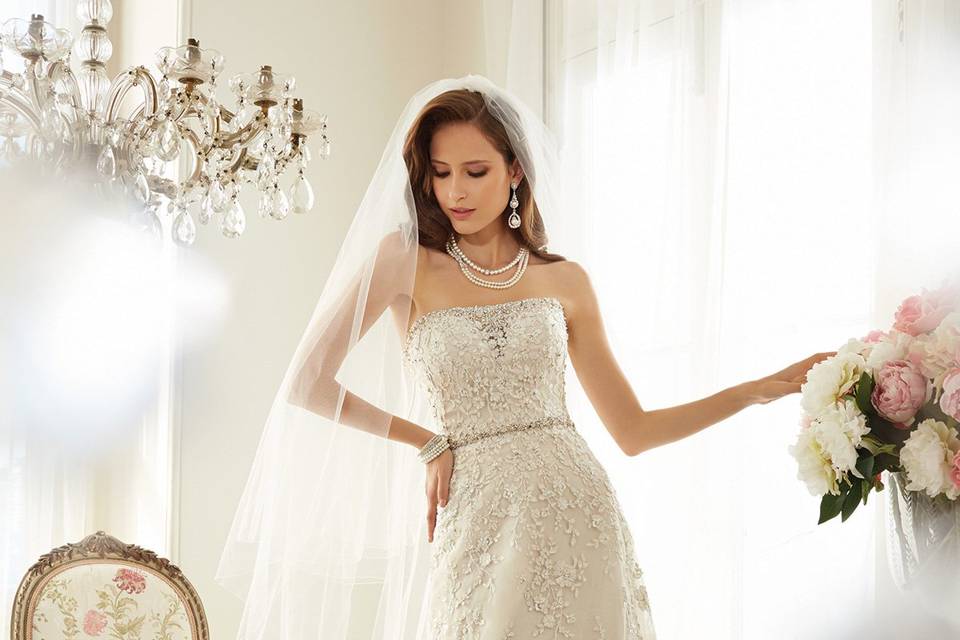 Sophia Tolli Pedraria