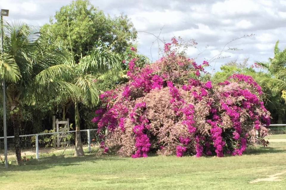 Recanto do Bosque