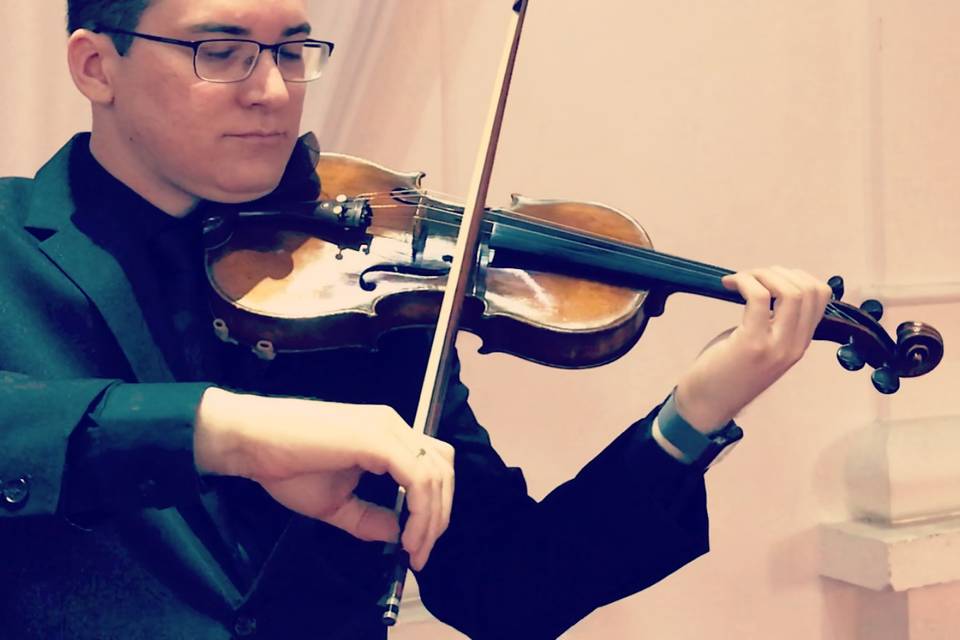 Violino