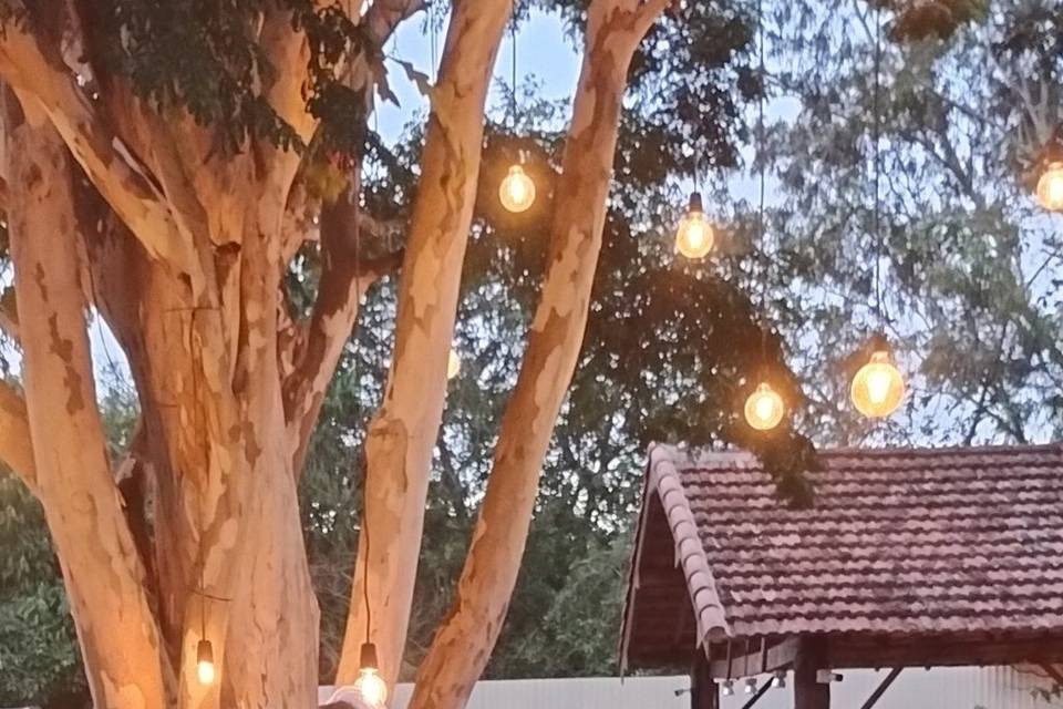 Andrea Pasinato Cerimonial