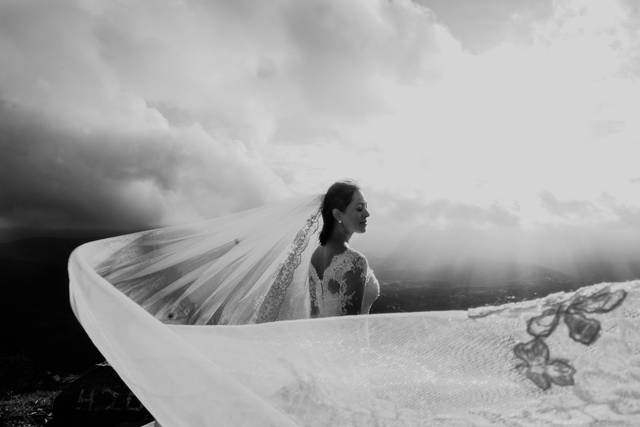 Trash and Dress