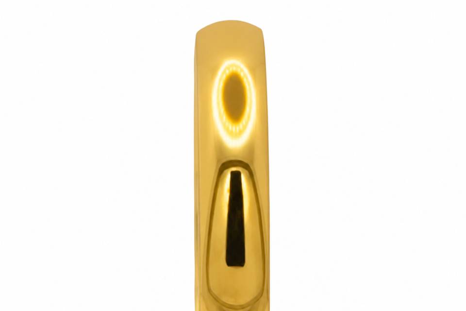 BN003