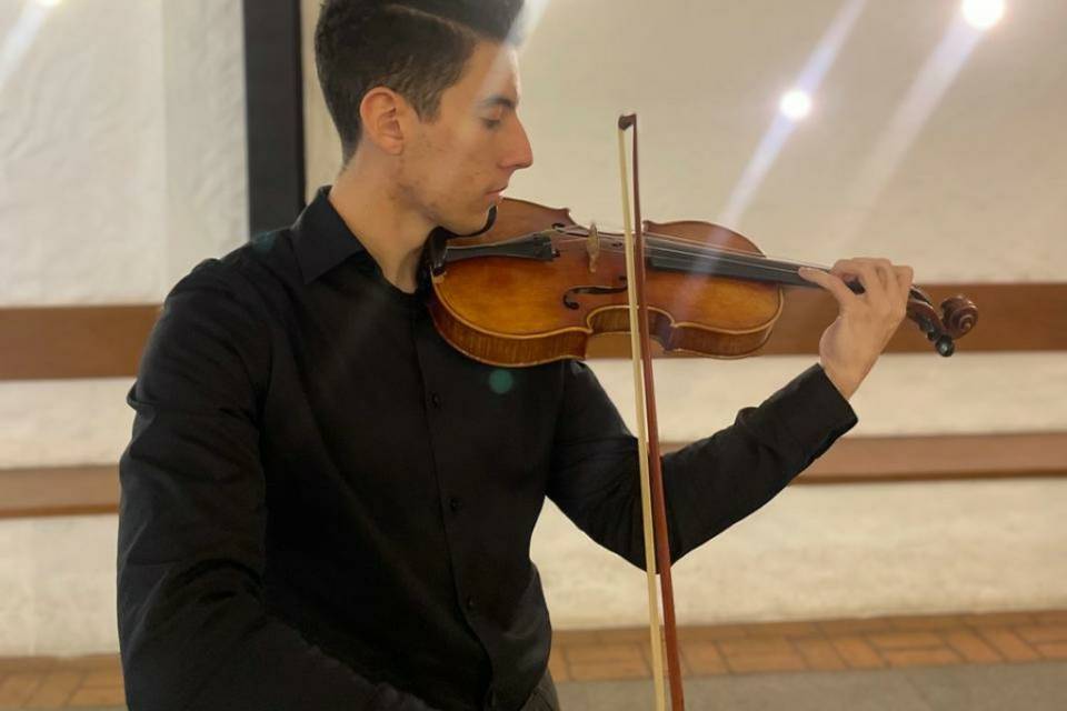 Violinista profissional