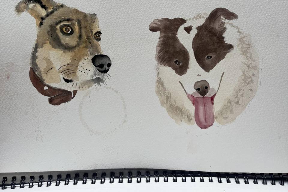 Pets em aquarela