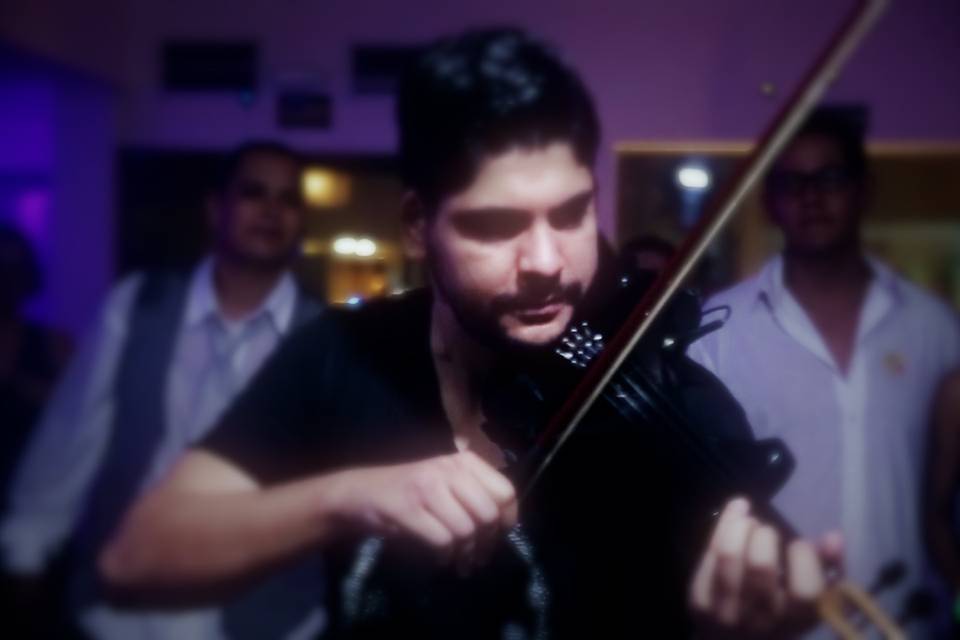 Violino Show