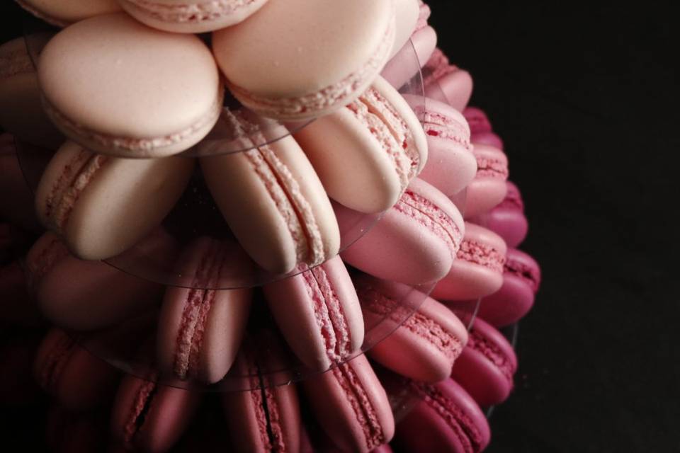 Torre Loulus 60 Macarons