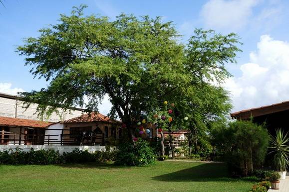 Grande área verde