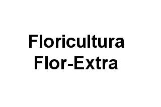 Floricultura Flor-Extra