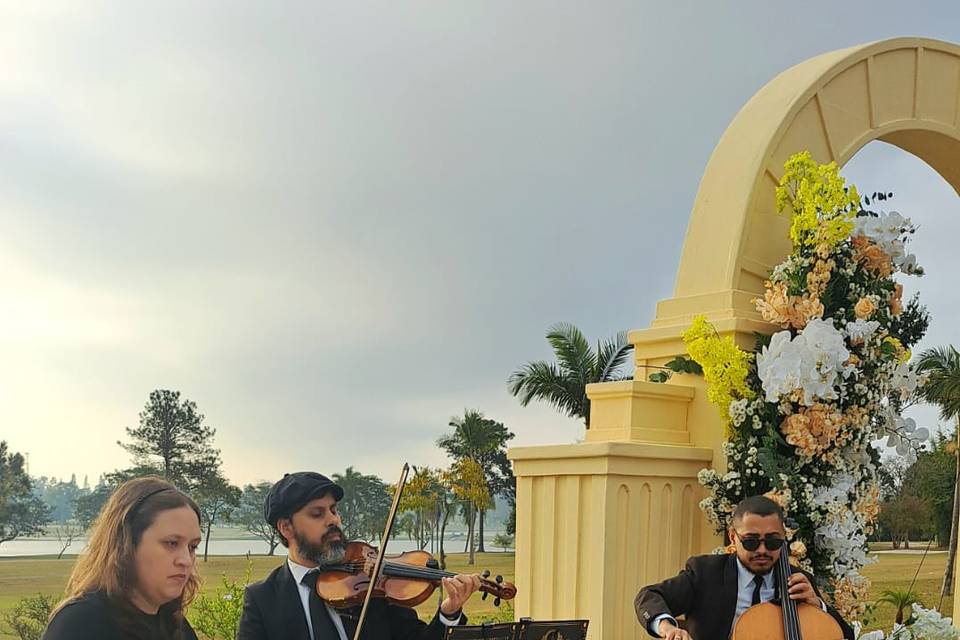 Trio musica de casamento