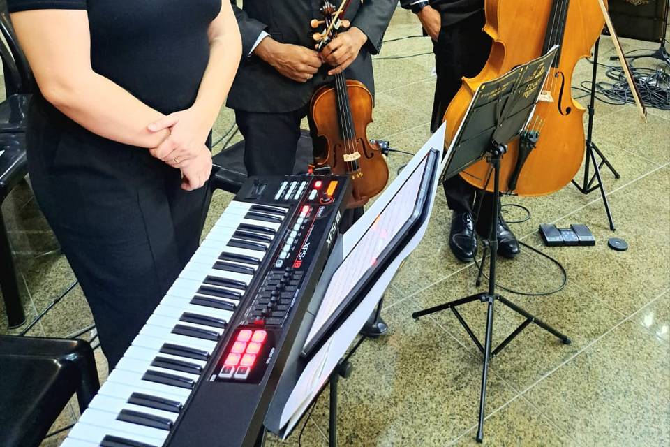 Trio musica de casamento