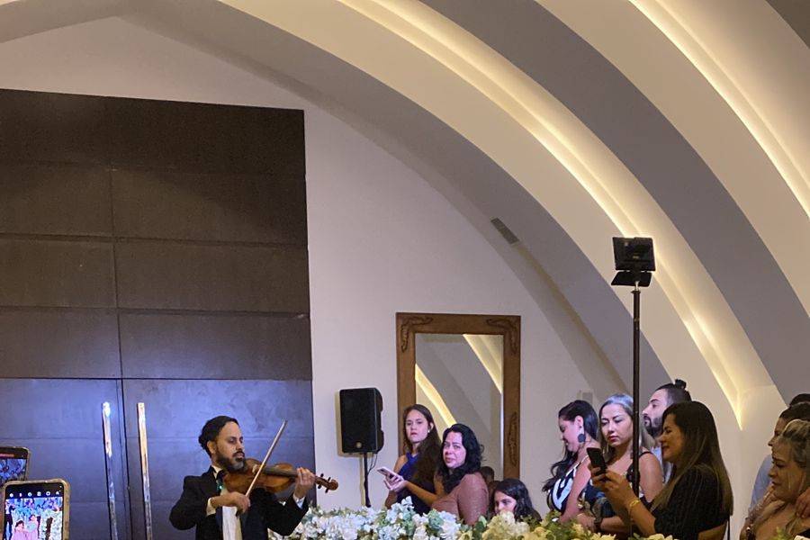 Cortejo de daminhas com violin