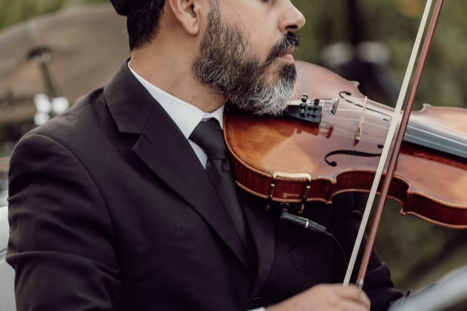 Violino musica de casamento