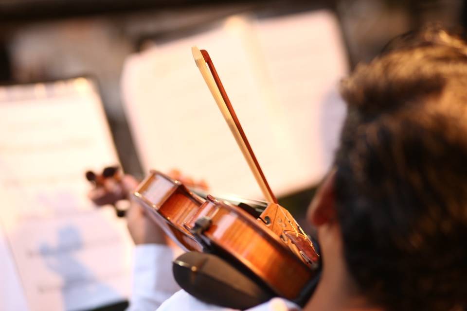 Violino para casamento