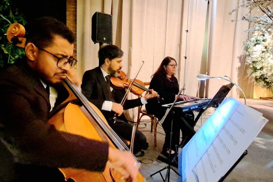 Trio música de casamento