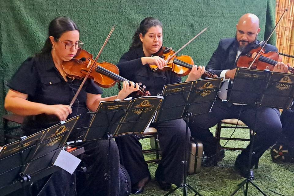 Quarteto de cordas