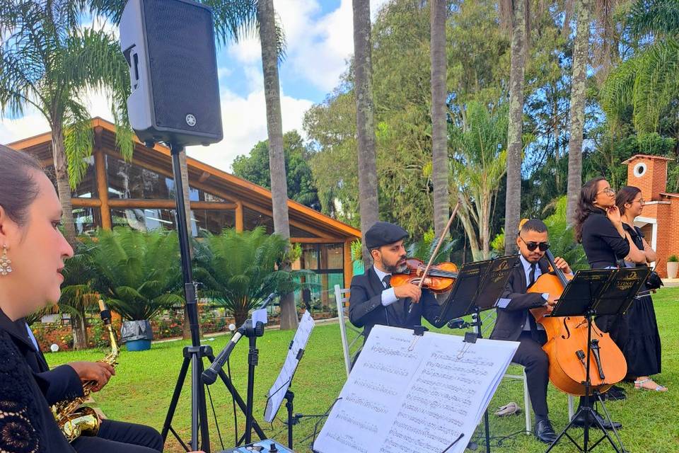Quarteto música de casamento