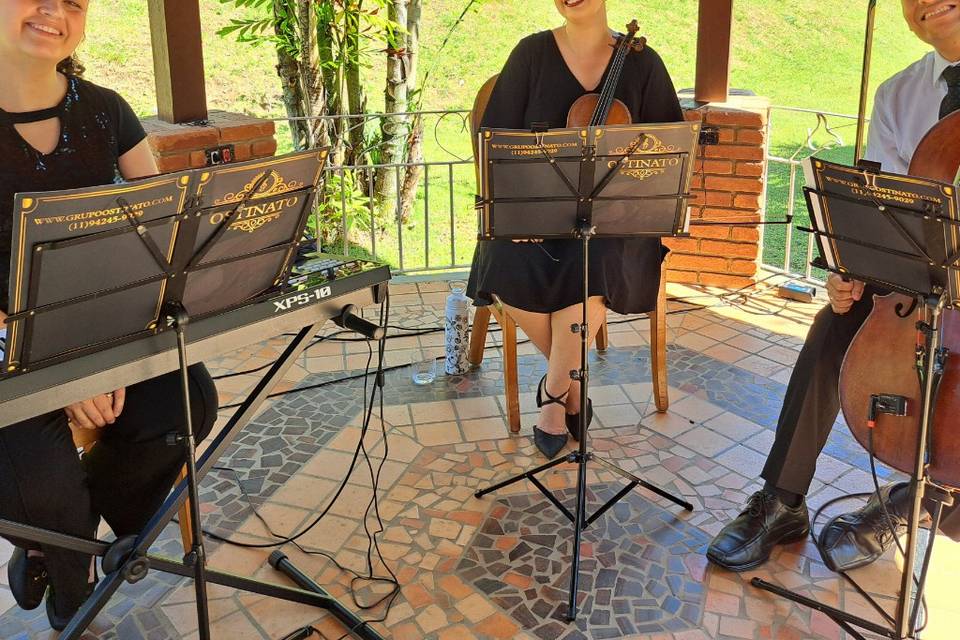 Trio musica de casamento