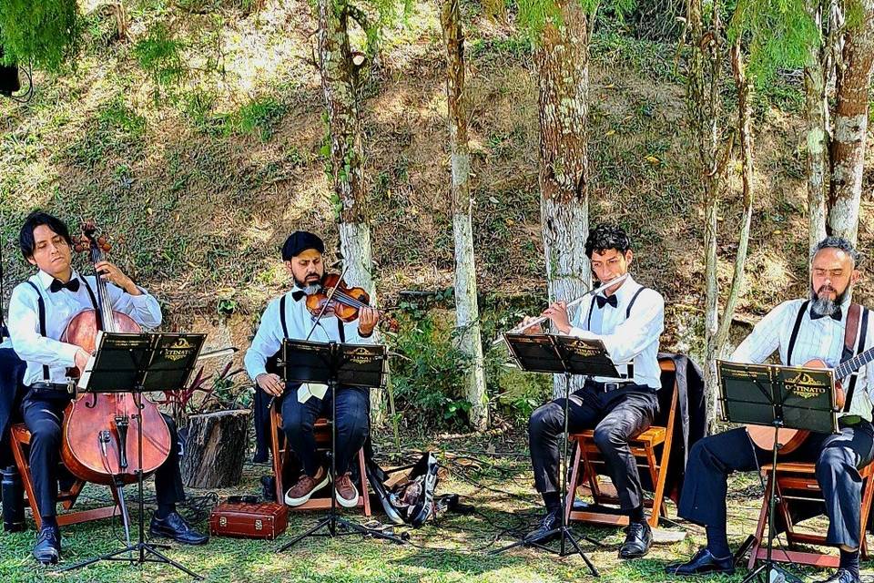 Grupo Ostinato