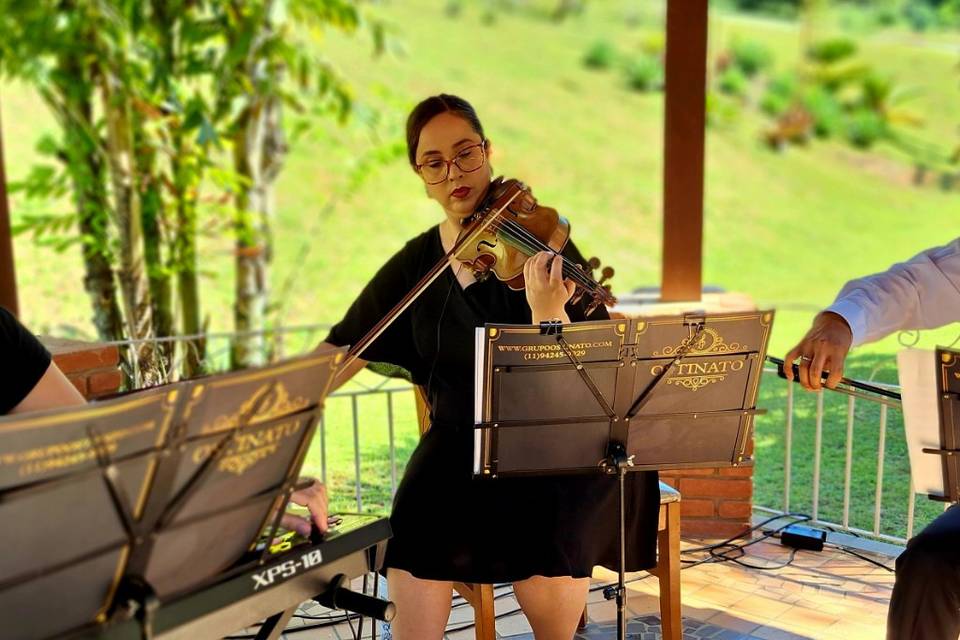 Trio música de casamento