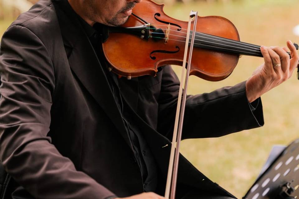 Solo de Violino
