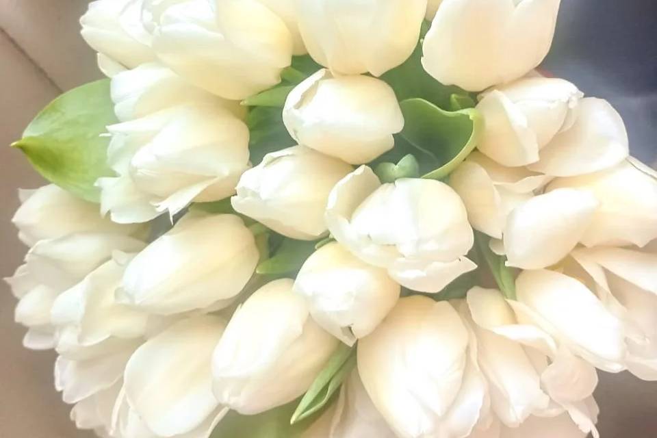 Buquê de tulipas brancas