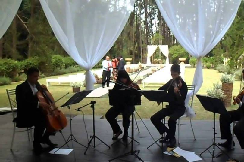 Quarteto de cordas