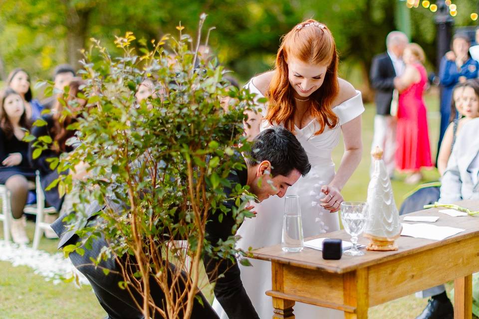 Cerimônia nas Palmeiras