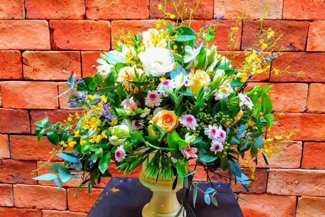 Messias Araujo Decor