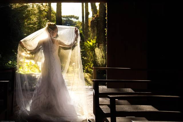 Wedding Dream