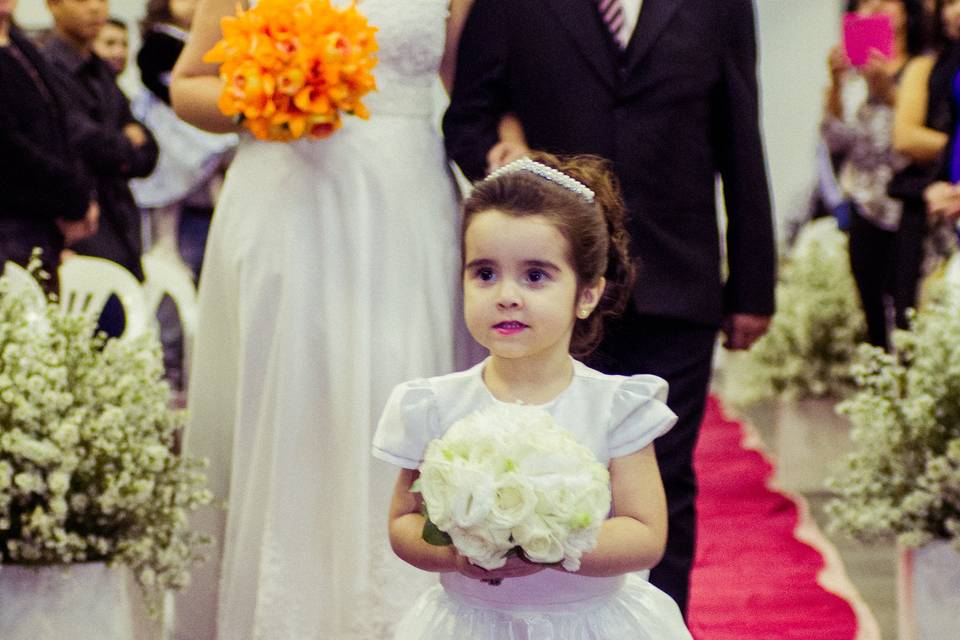 Daminha