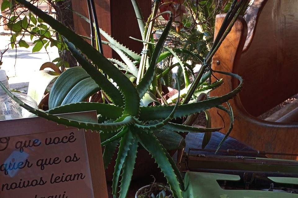 Detalhe decoração