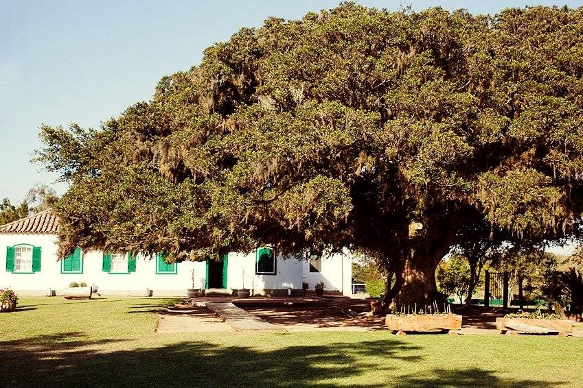 Casa da Fazenda Petim