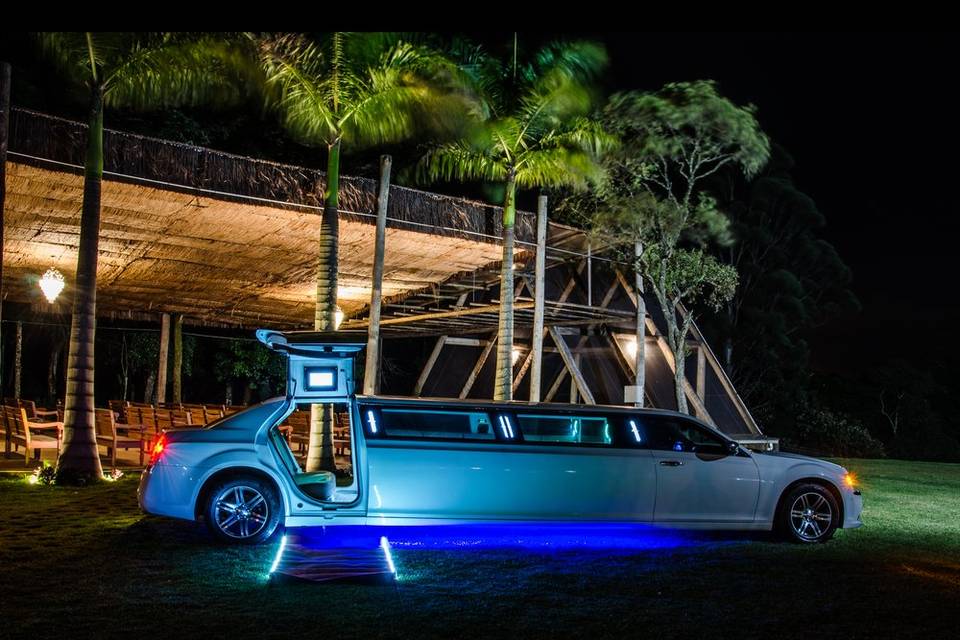 300C Asa Gaivota