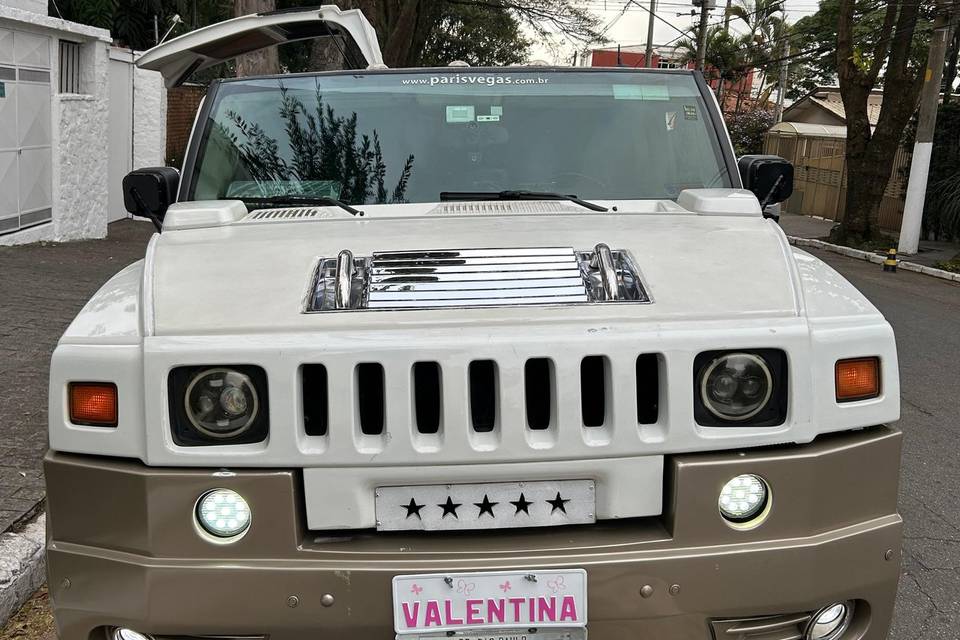 HUMMER BRANCA