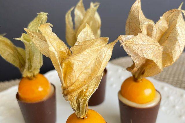 Physalis e Zabaione