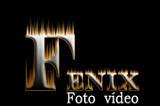 Logo fenix
