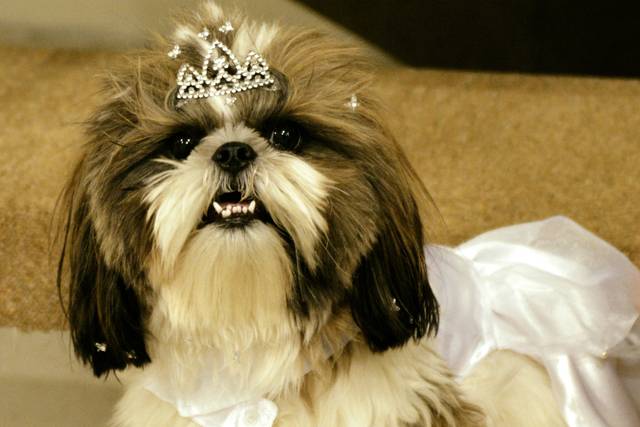 Princesinha