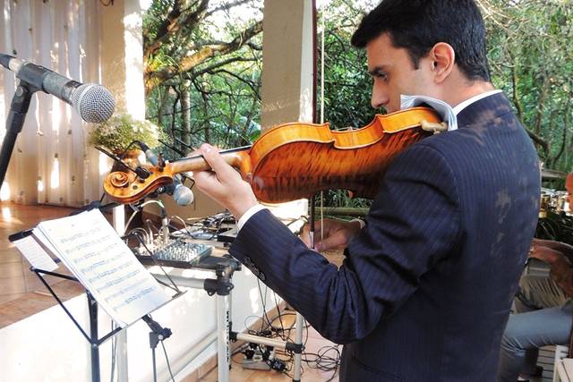 Violino em cerimonial