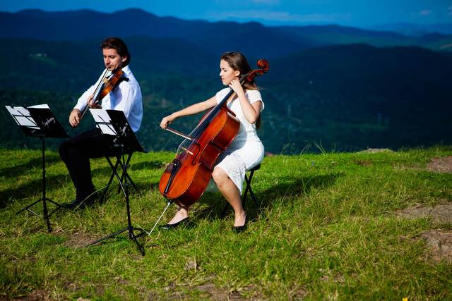 Violino e celo