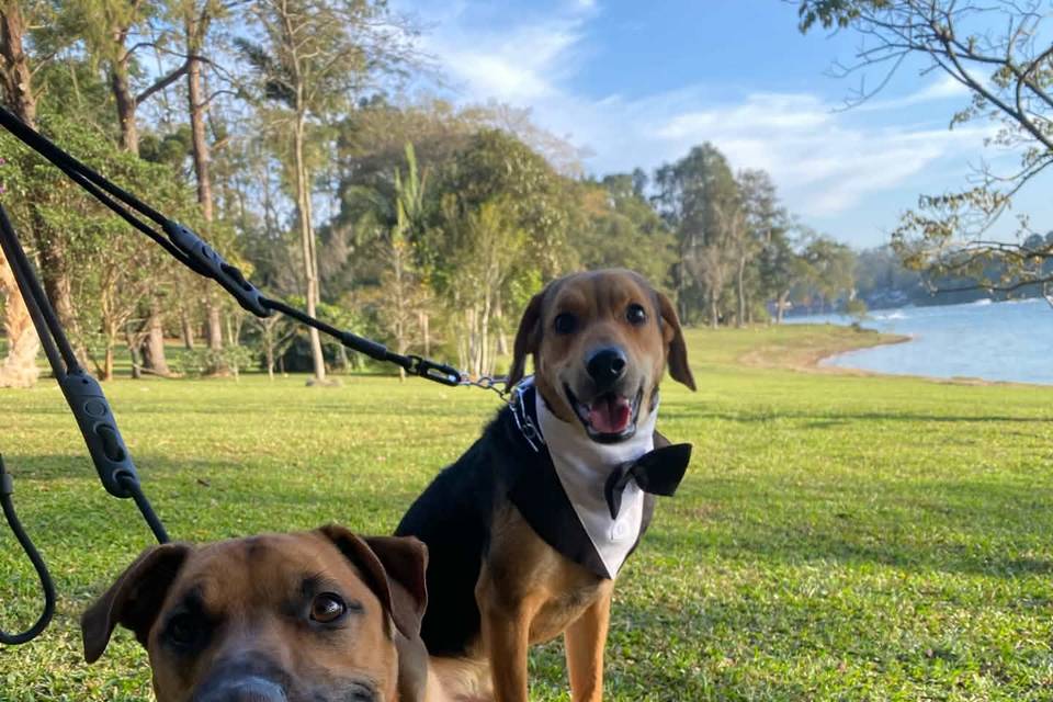 Twix & Pudim