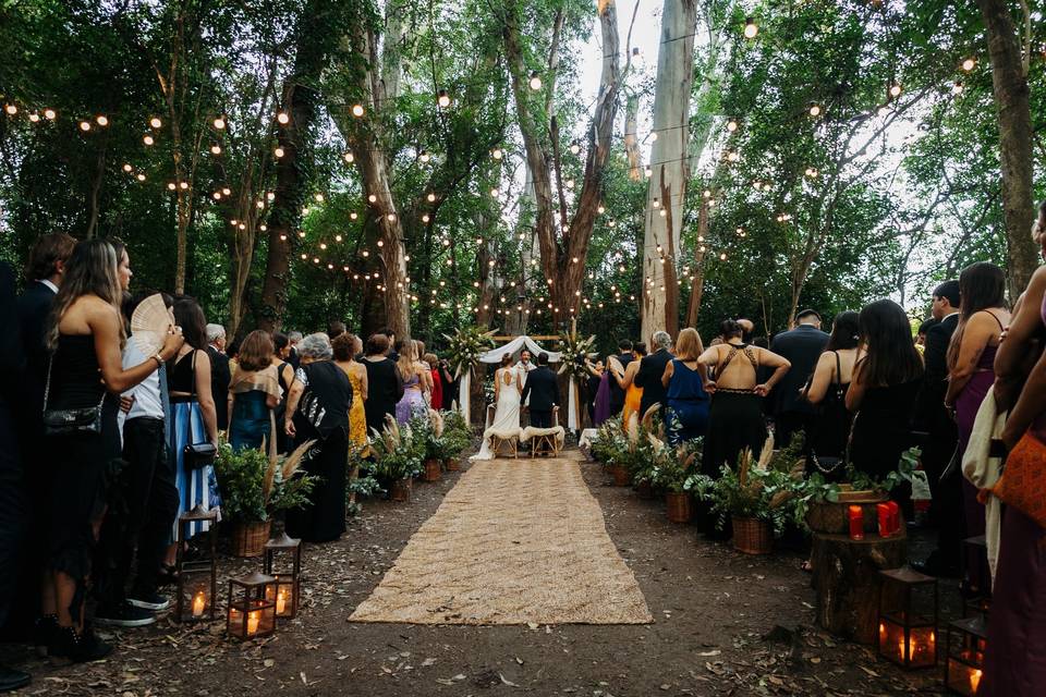 Casamento no bosque