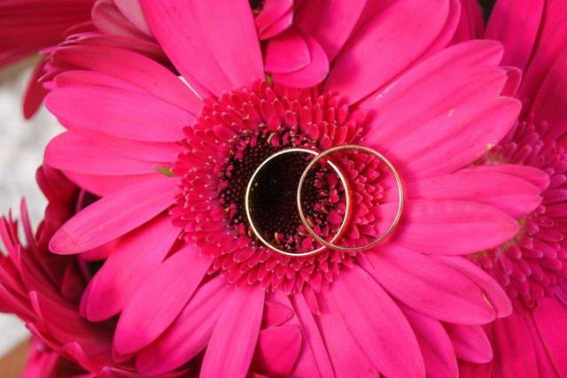 Perfeito para seu casamento