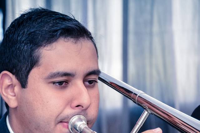 Musicos profissionais